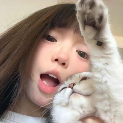 高飞
